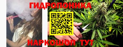 крисы Обнинск
