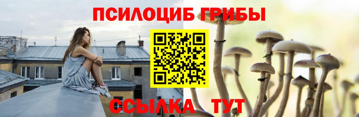 Псилоцибиновые грибы Psilocybine cubensis  магазин продажи наркотиков  Георгиевск  Вход с VPN 